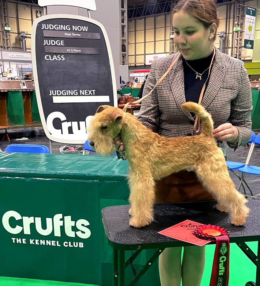 crufts